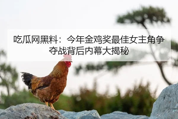 吃瓜网黑料：今年金鸡奖最佳女主角争夺战背后内幕大揭秘